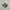 Nike Sportswear Sneakers Pria gray photo 1