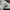 Nike Sportswear Sneakers Pria gray photo 6