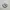 Nike Sportswear Sneakers Pria white photo 1