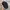 Kangol Streetwear Y2K Hat Pria black photo 5