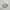 Nike Sportswear Sneakers Pria white photo 1