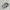 Nike Sportswear Sneakers Pria white photo 3