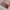 Luxury Wanita multicolor photo 4