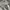 JanSport Streetwear Y2K Sweatshirt Pria gray photo 4