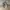 Jerzees Casual Sweatshirt Pria gray photo 1