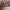 Everbest Minimalist Bags & purse Wanita tan photo 5