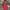 Esprit Vintage Streetwear Bag Pria Red