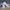 Adidas Streetwear Sportswear Sneakers Pria gray photo 6