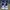 Adidas Streetwear Sportswear Sneakers Pria gray photo 3
