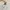 Forever 21 Casual Bodysuit Wanita white photo 3