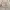 LC Waikiki Casual Shoulder bag Wanita tan photo 1