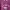 Lacoste Casual Sweatshirt Pria Purple