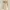 Liz Lisa Cottagecore Coquette Babydoll Dress Wanita Tan