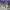 Vintage Y2K Hoody Pria gray photo 2