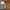 Adidas Streetwear Casual Windbreaker Pria white gray photo 2