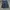 Rocawear Vintage Y2K Jeans Pria gray photo 1