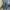 Vintage Pria navy photo 1