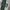 Polo Ralph Lauren Casual Sweatshirt Pria green gray photo 5