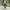 Uniqlo Luxury Casual Blazer Pria tan gray photo 3