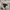 MLB Sportswear Casual Sweatshirt Pria gray photo 5