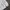 Gorpcore Puffer jacket Pria white black photo 5