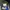 Nike Sportswear Sneakers Pria white navy photo 5