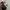 Carhartt Streetwear Hat Pria multicolor photo 8