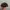 Carhartt Streetwear Hat Pria multicolor photo 4