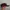 Carhartt Streetwear Hat Pria multicolor photo 3
