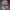 Supreme Streetwear Sportswear Hat Pria multicolor photo 1