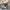 Armani	 Sportswear Track jacket Pria gray photo 7