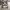 Armani	 Sportswear Track jacket Pria gray photo 4
