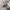 Armani	 Sportswear Track jacket Pria gray photo 8