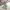 Armani	 Sportswear Track jacket Pria gray photo 1