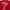 Stussy Vintage Streetwear T-shirt Pria red photo 4