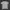Oakley Vintage Casual T-shirt Pria khaki photo 5