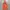 Cosplay Baju bayi Kids orange photo 5