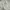 Shein Y2K Casual Bodysuit Wanita black gray photo 6