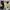 Streetwear Bomber jacket Pria khaki photo 1