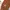 VANS Sportswear Casual Sneakers Pria red black photo 4