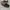 VANS Sportswear Casual Sneakers Pria Red Black