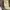 Carhartt Vintage Casual Sweatshirt Pria tan photo 3