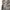 Japanese brand Vintage Y2K Skirt Wanita tan gray photo 3