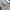 Pull & Bear Streetwear Skater Short Pria gray photo 5