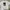 Pull & Bear Vintage Streetwear T-shirt Pria white photo 1
