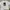 Pull & Bear Vintage Streetwear T-shirt Pria White