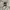 Adidas Streetwear Casual Casual shoe Pria white yellow photo 3