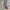Adidas Streetwear Casual Casual shoe Pria white yellow photo 8