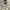 Adidas Streetwear Casual Casual shoe Pria white yellow photo 1