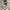 Adidas Streetwear Casual Casual Shoe Pria White Yellow
